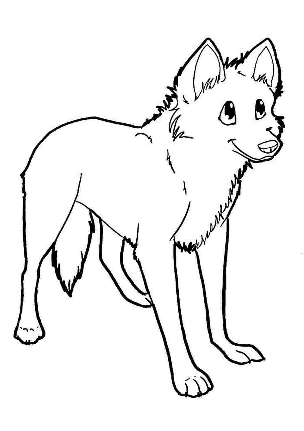 Идеи на тему «Волки и лисы» () | животные, оборотни, рисунки животных