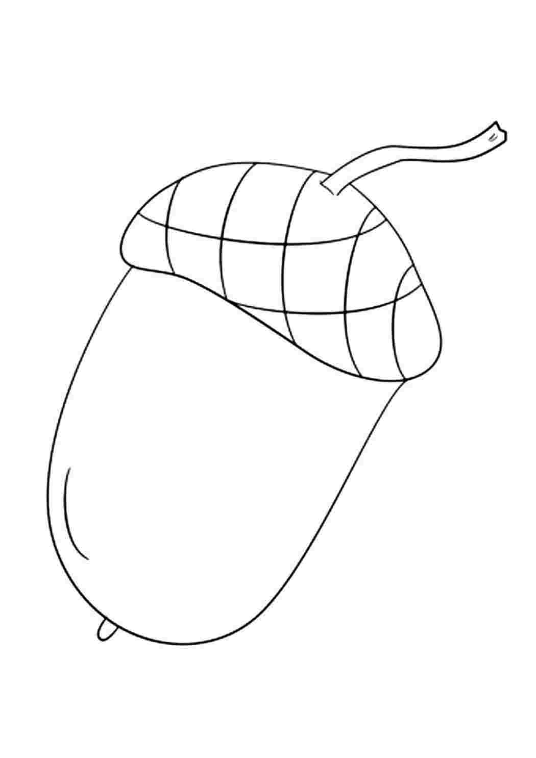 Желуди раскраска