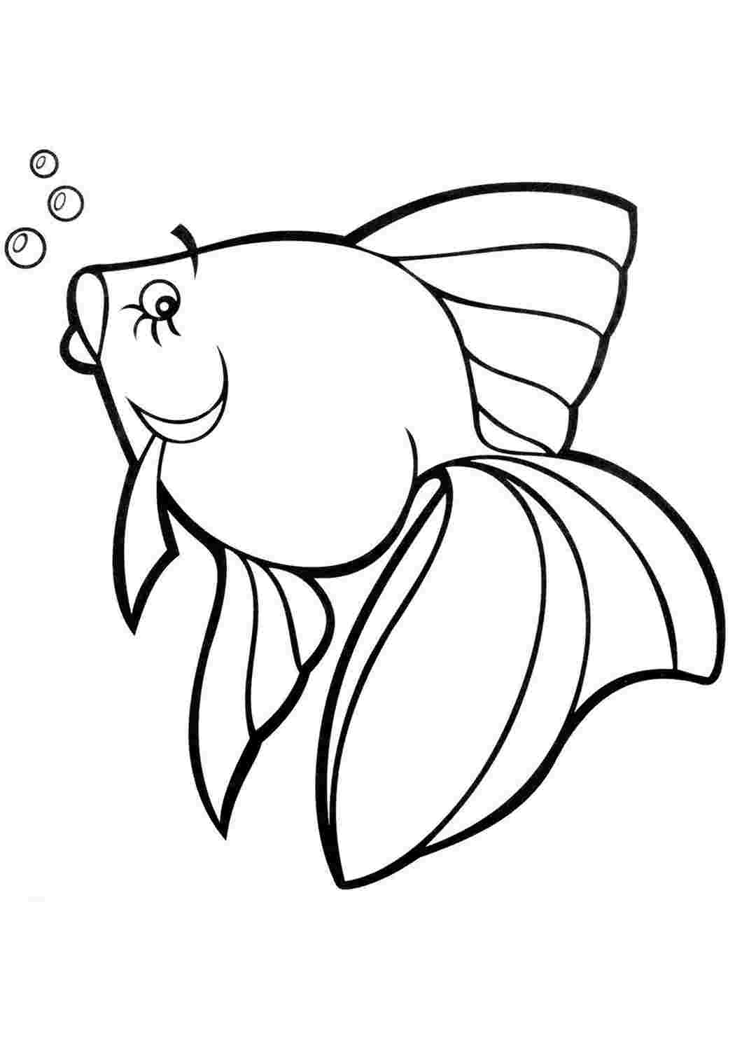 Картинки для раскрашивания для детей. Раскраска рыбка. Рыбка раскраска для детей. Рыба раскраска для детей. Красивые рыбки раскраски для детей.