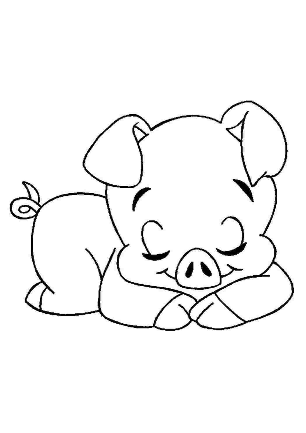 Свинья детский рисунок