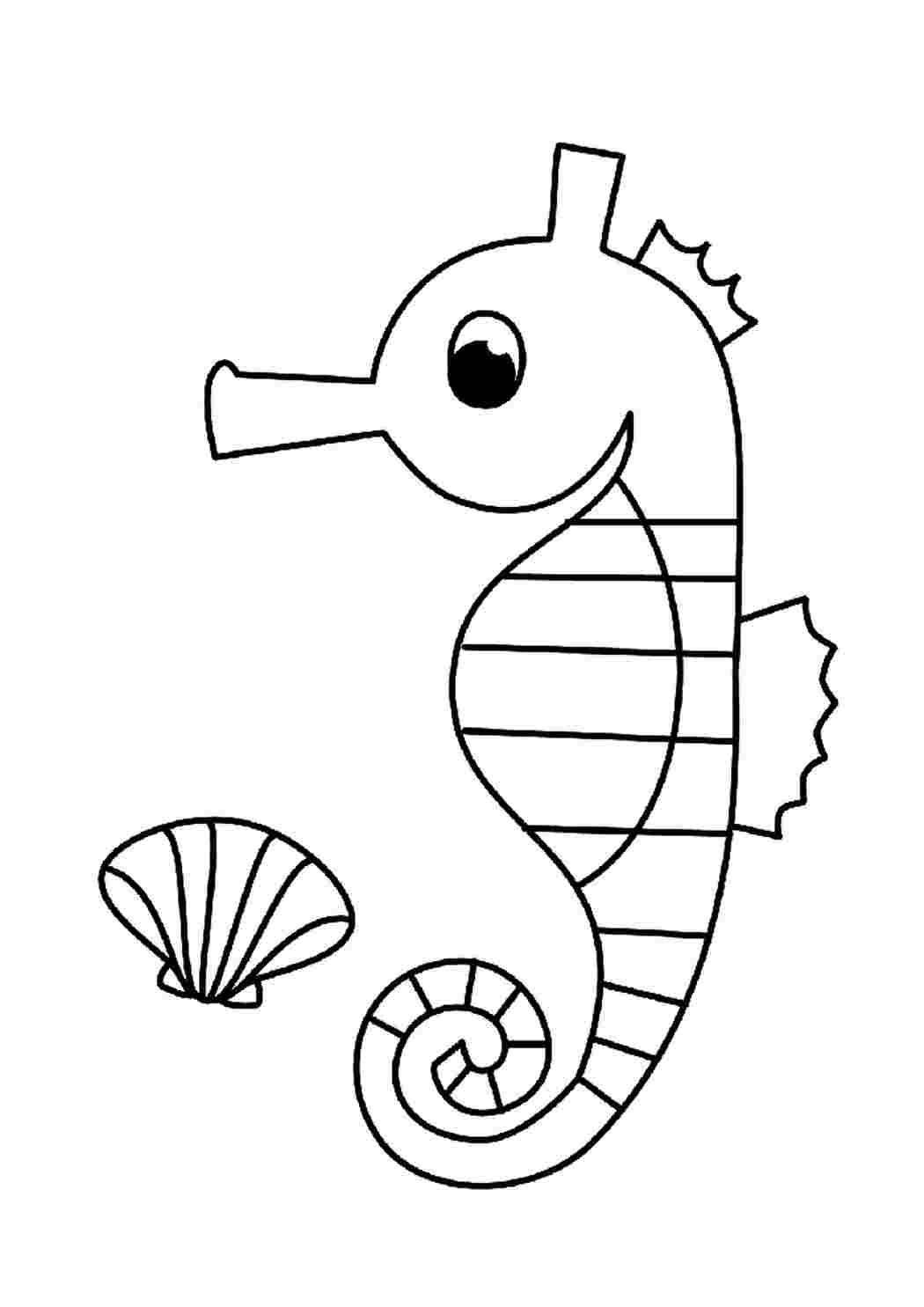 Морской конек раскраска для детей