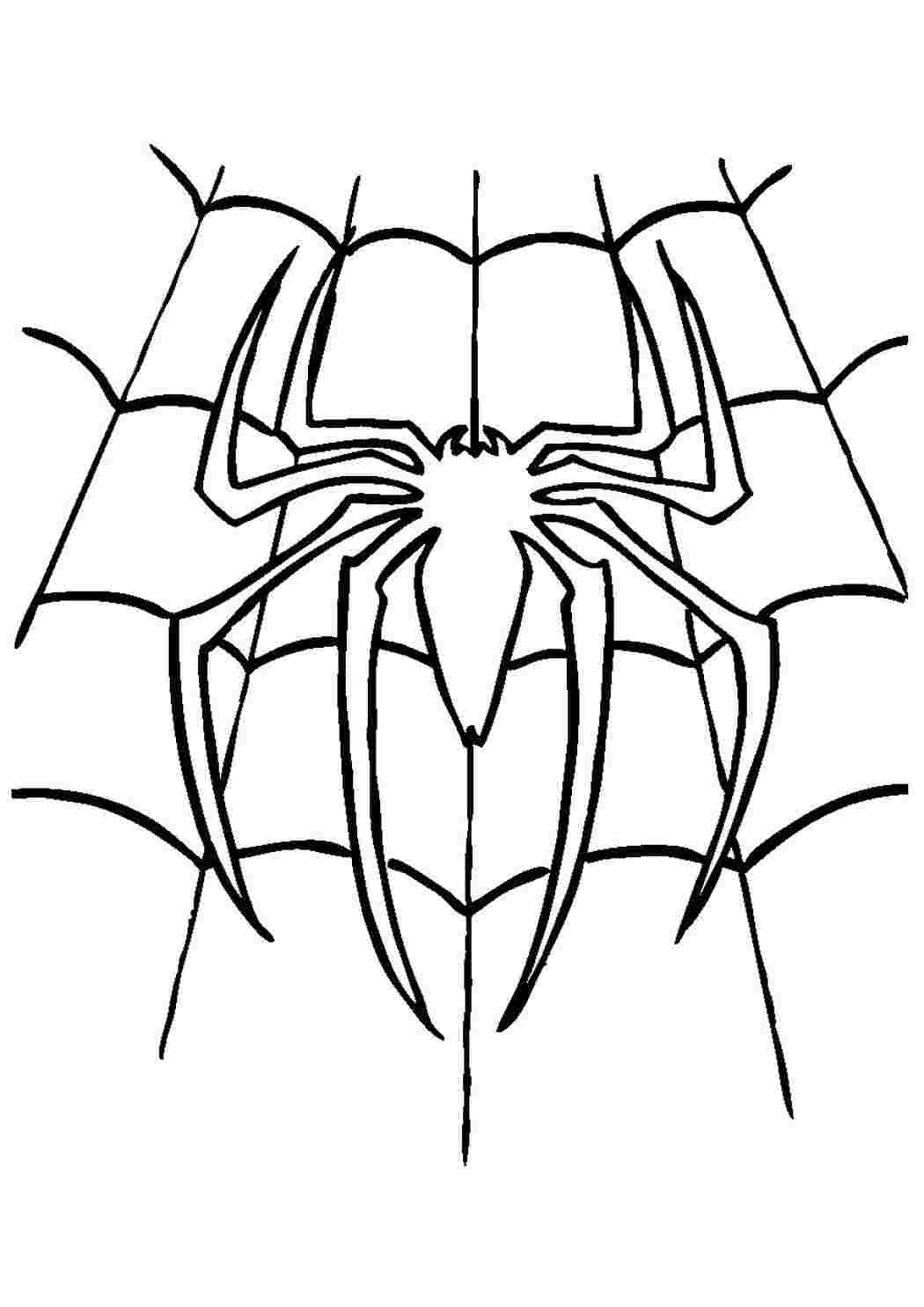 Паук для срисовки. Паук раскраска. Раскраска паучок. Раскраски для мальчиков паучок. Паук раскраска для детей.