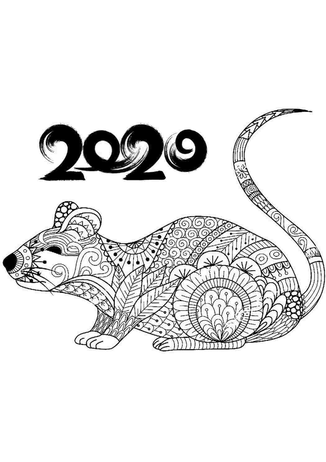 Раскраски 2020 года