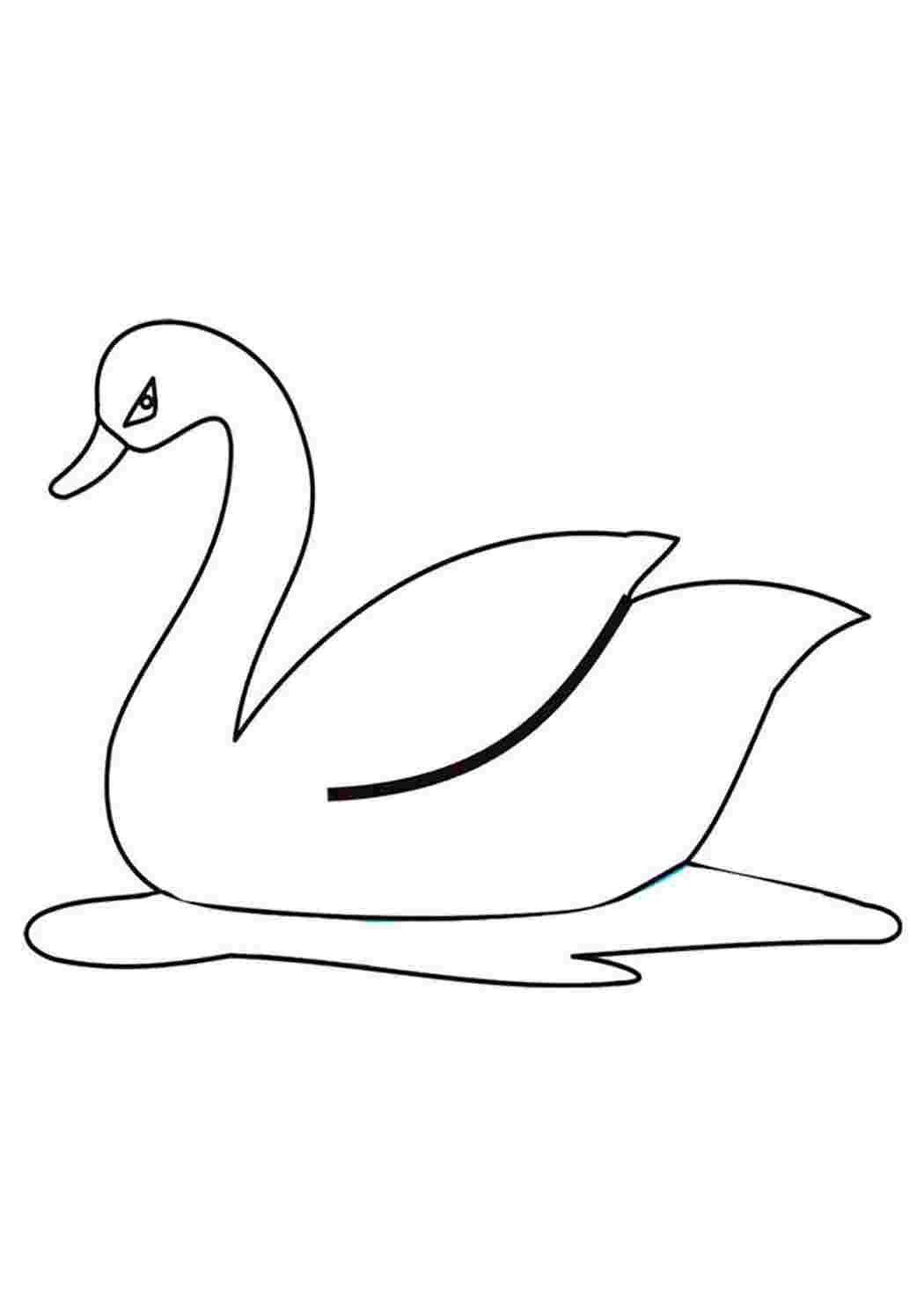 Лебедь рисунок раскраска