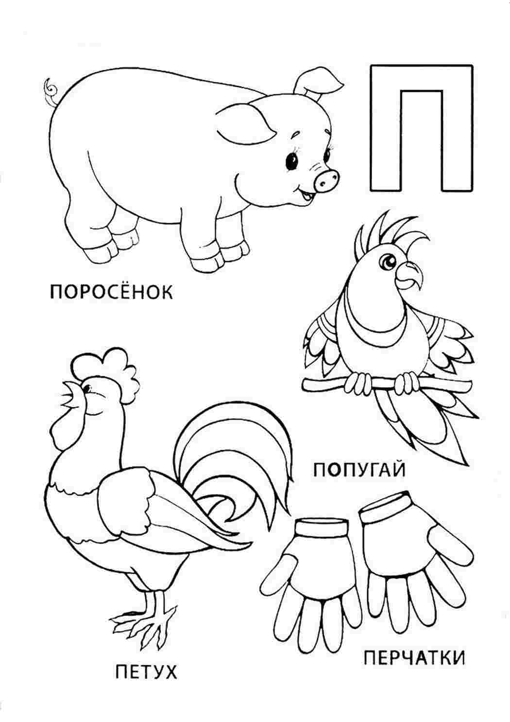 Картинки слова на букву п для детей