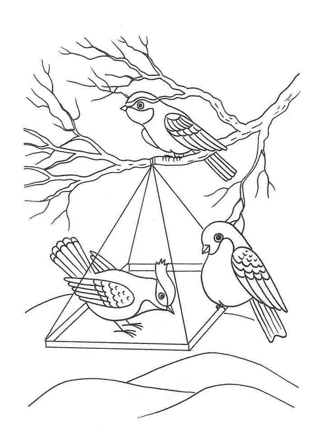 Рисование птицы на кормушке