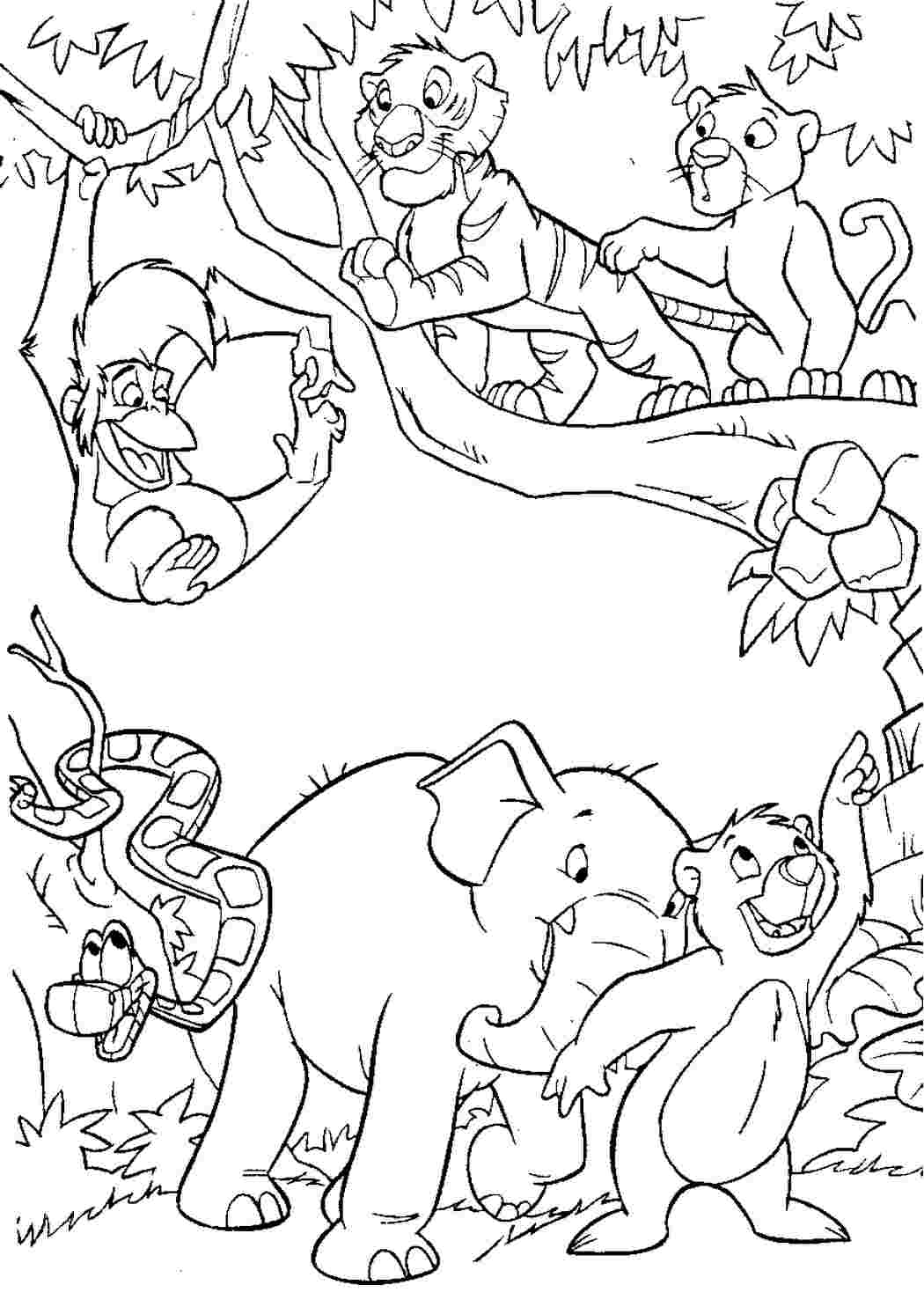 Животные джунглей раскраска