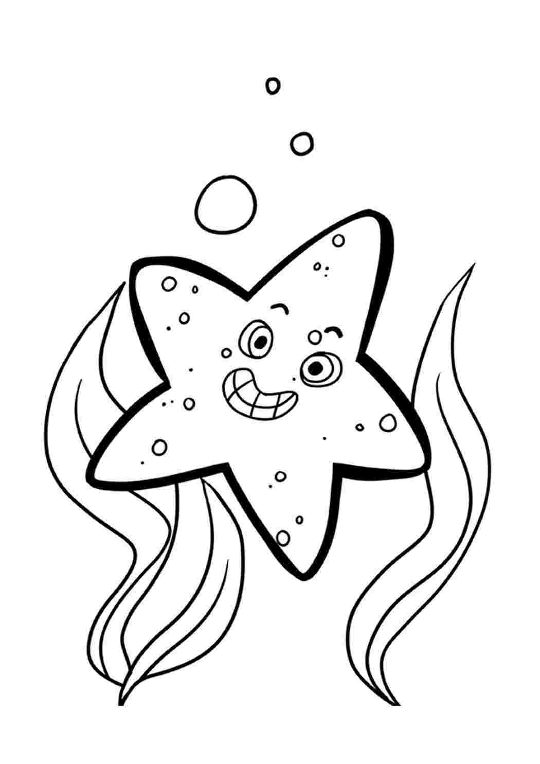 Морская звезда для раскрашивания детям