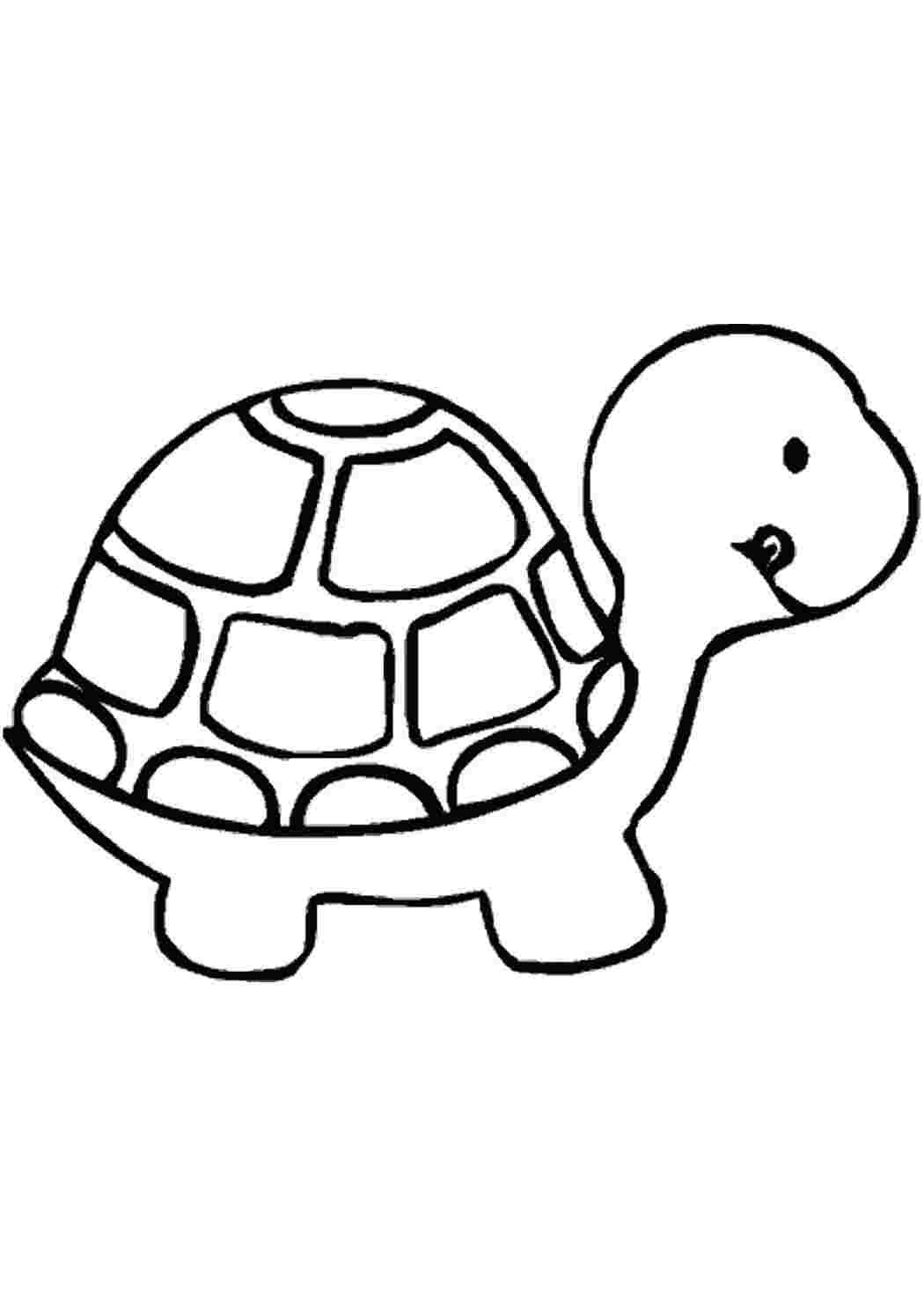 Черепаха рисованными буквами