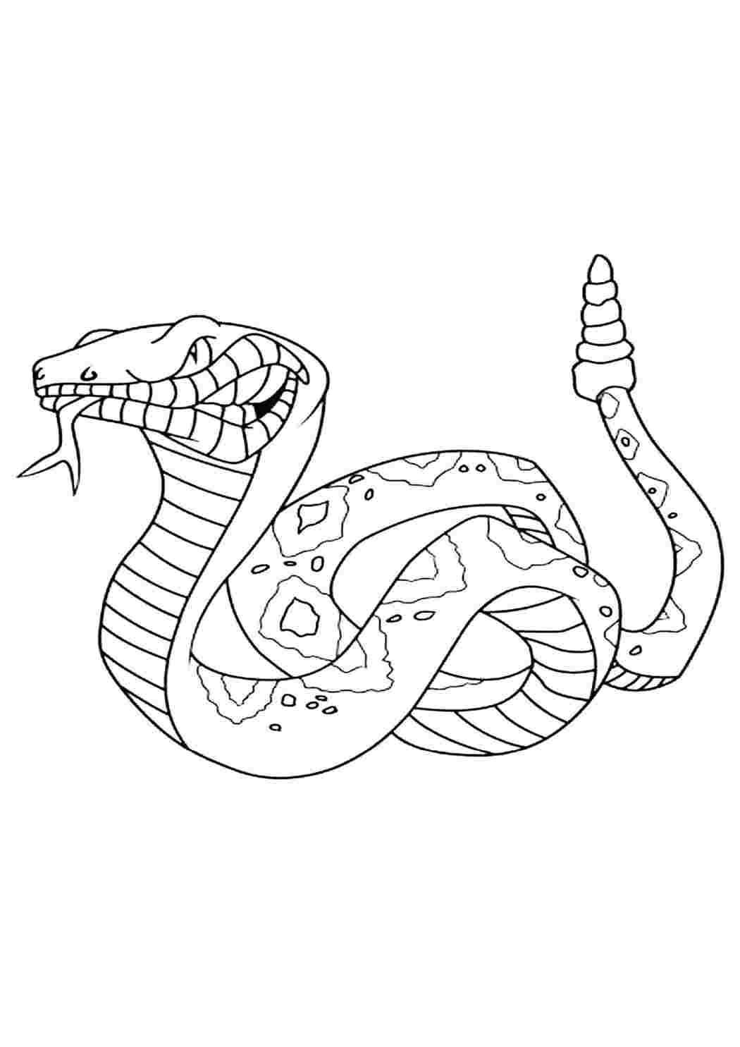 Раскраска для девочек змеи