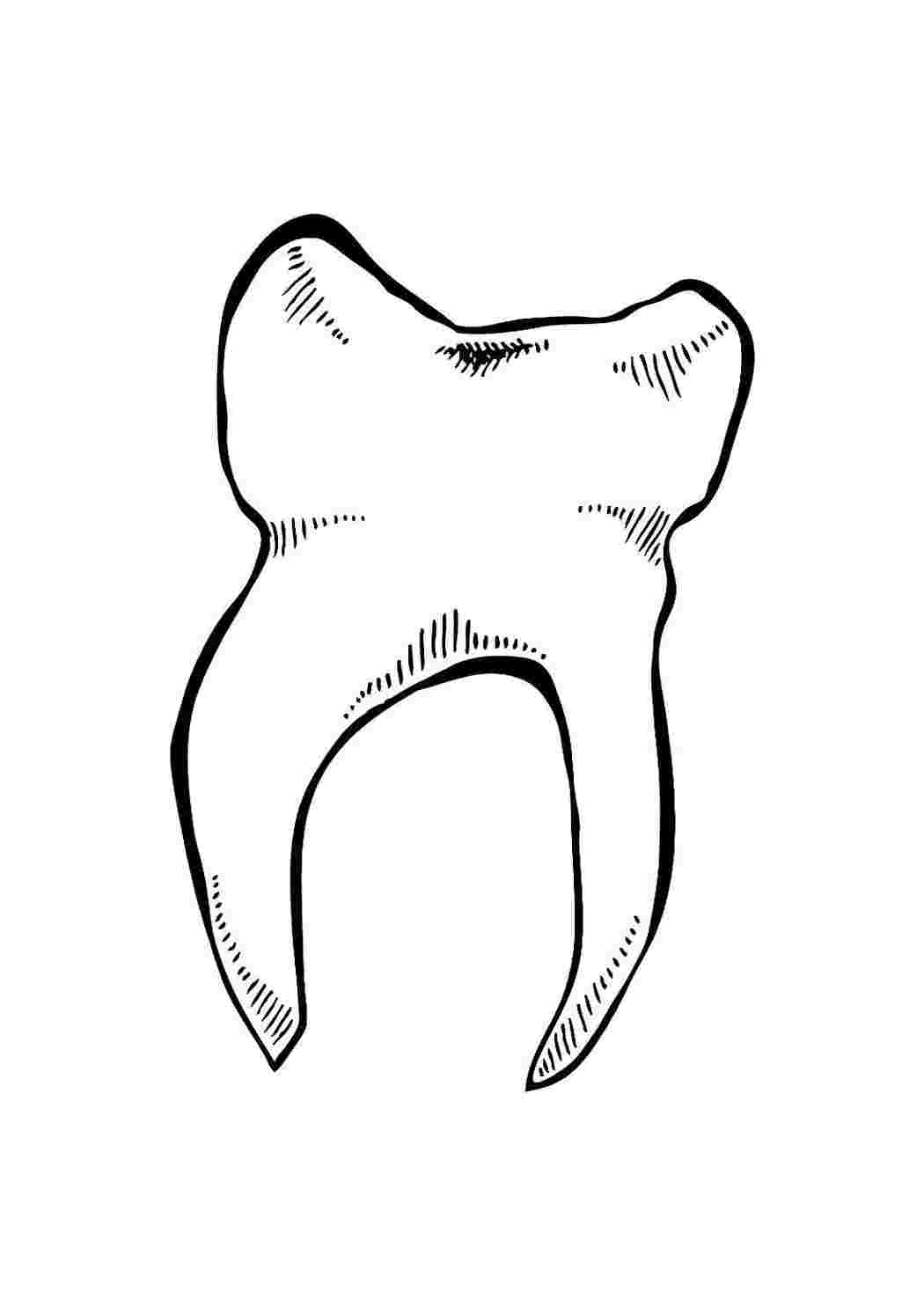 Зубы человека рисунок. Зуб. Зубы эскиз. Разукрашка зуб. Зуб раскраска для детей.
