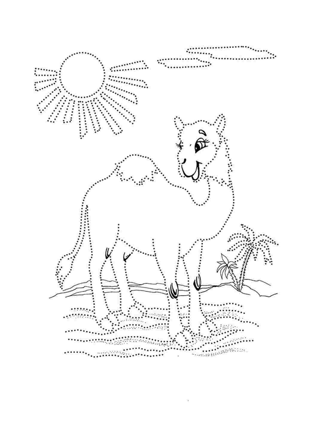 Раскраска верблюд и верблюжонок