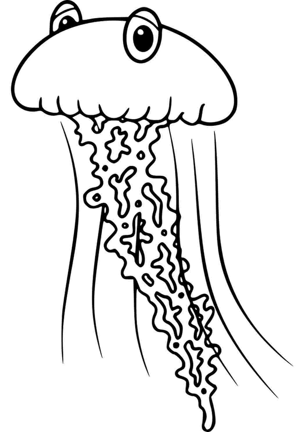 Медуза раскраска