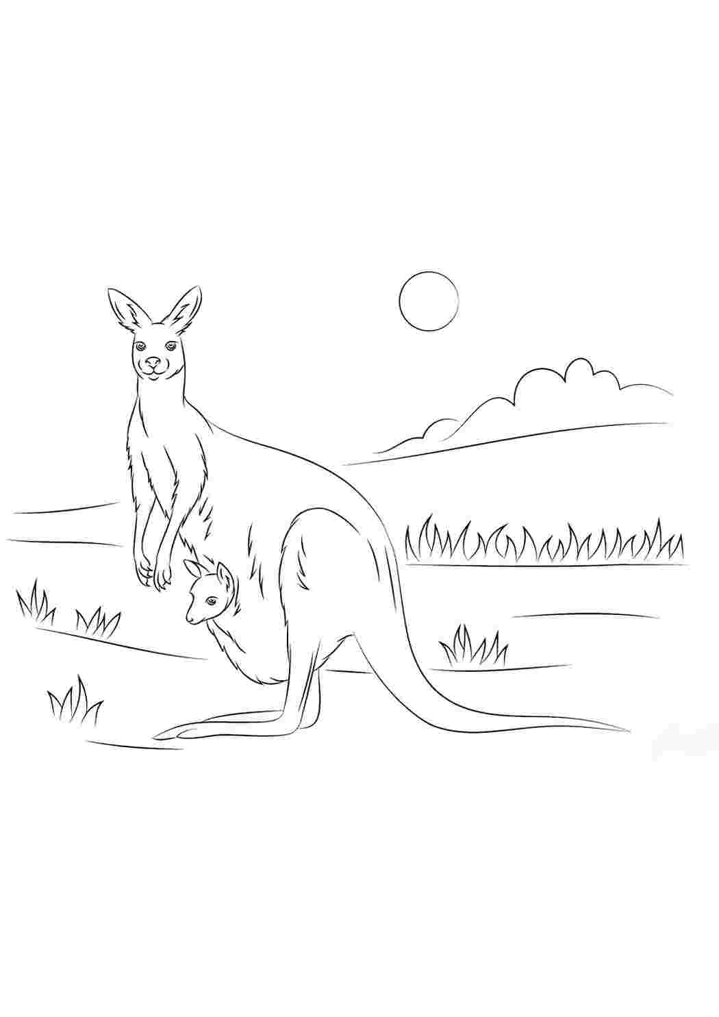 Как нарисовать кенгуренка на дереве и белку