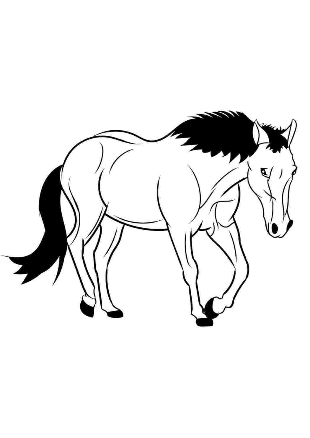 Раскраска лошадь на английском
