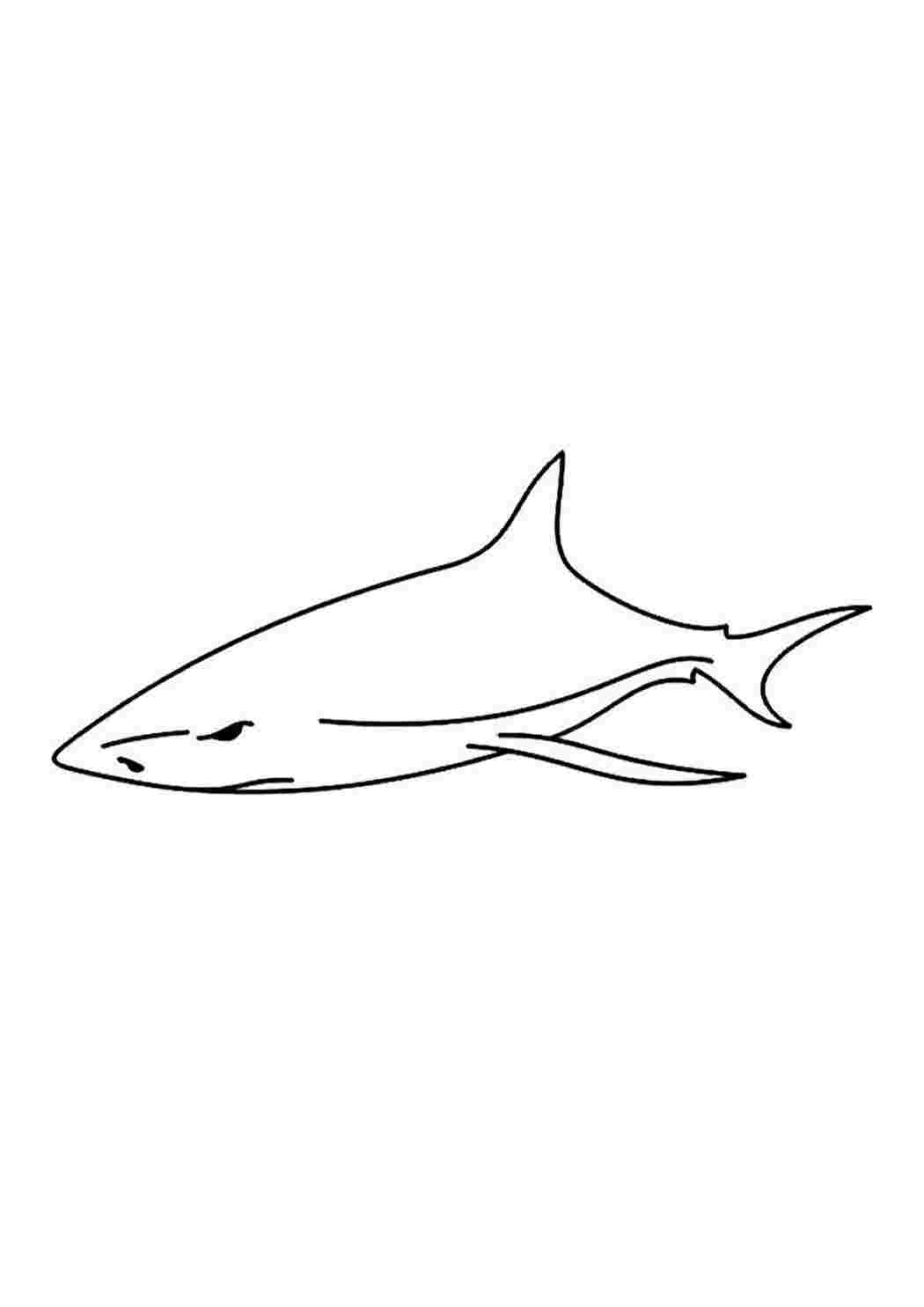 Акула трафарет рисунка
