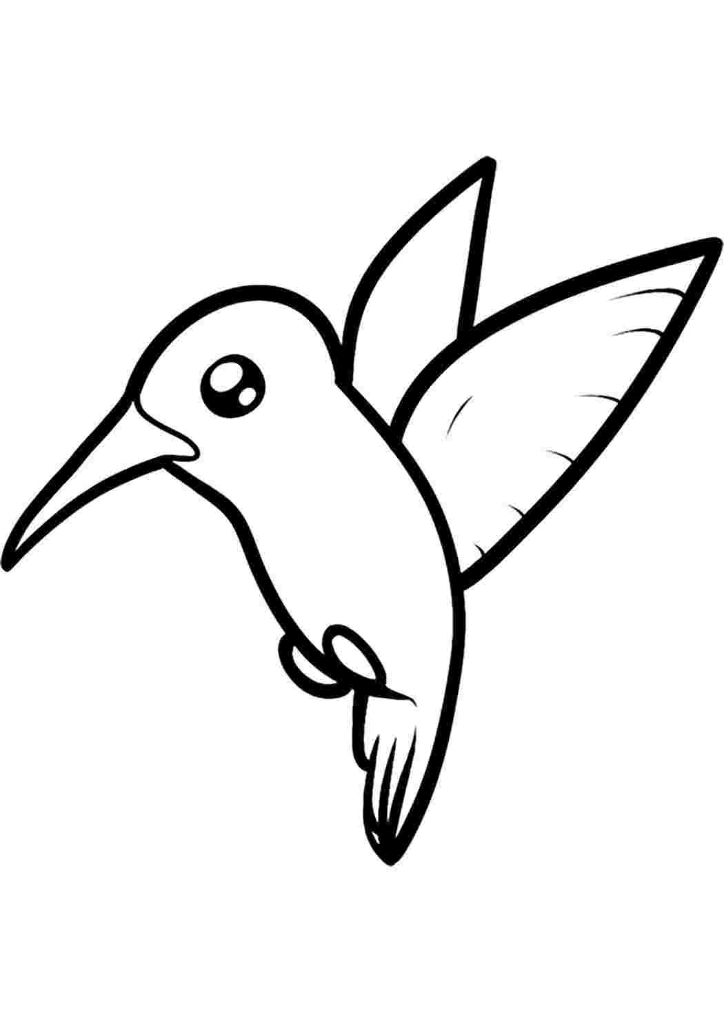 Птичка нарисовать. Птицы для срисовки. Колибри раскраска для детей. Птица для срисовки легкая. Рисунки птиц для срисовки.
