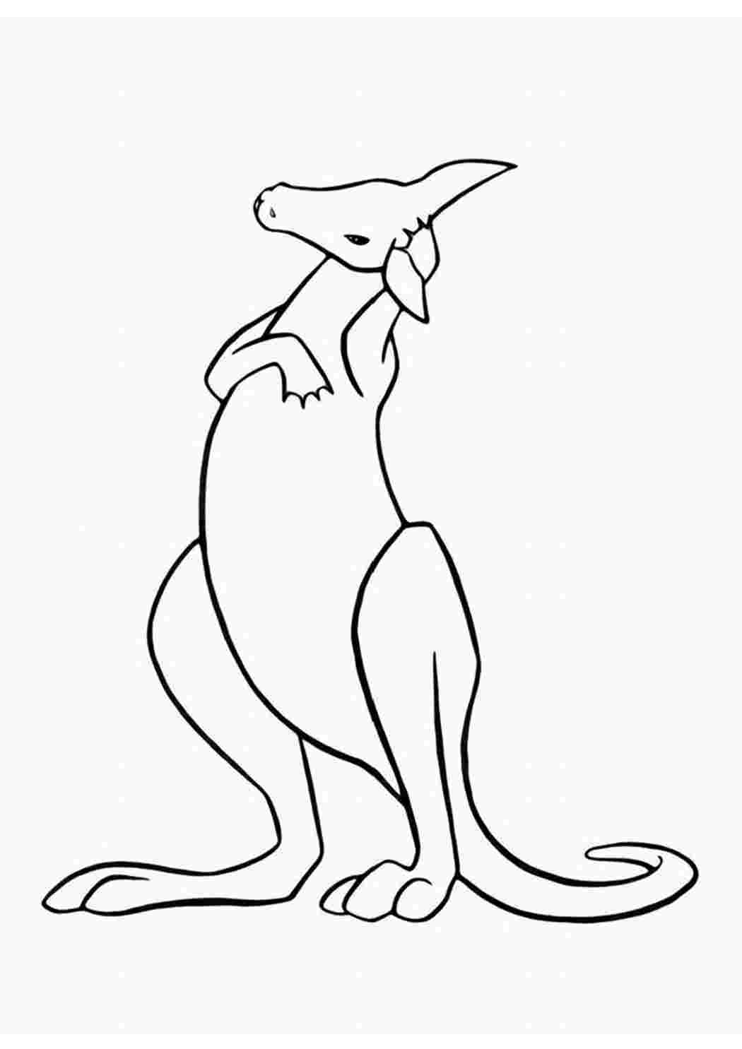 Арт раскраска кенгуру для детей