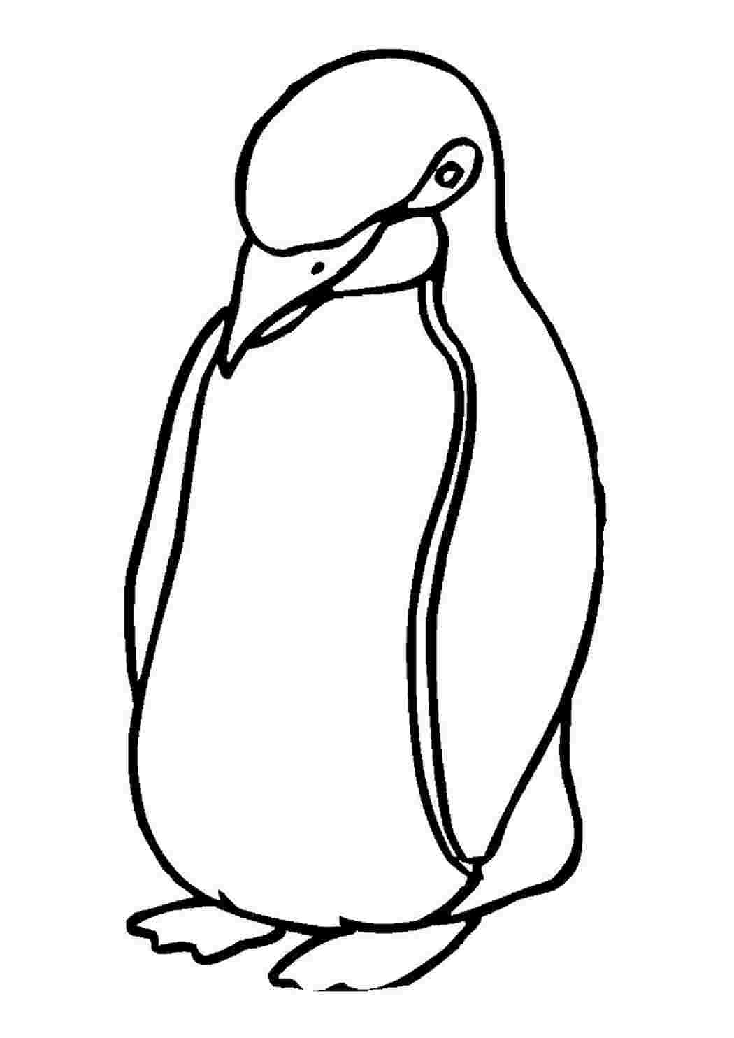 Пингвин раскраска для малышей