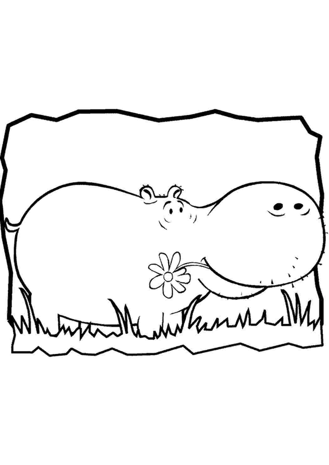 Hippos Family раскраска