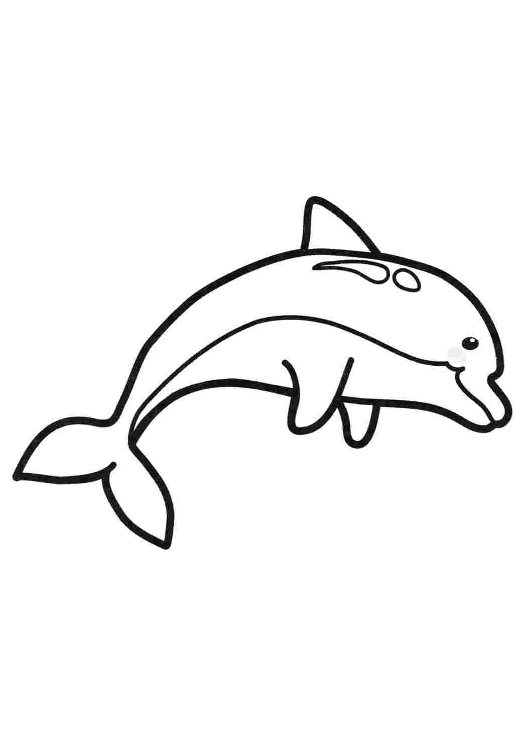 Картинки раскраски с дельфинами (51 фото) » Юмор, позитив и много смешных картинок