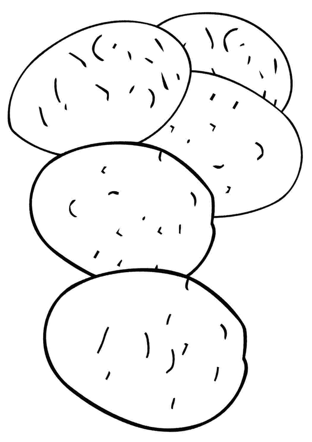 Рисование картошкой