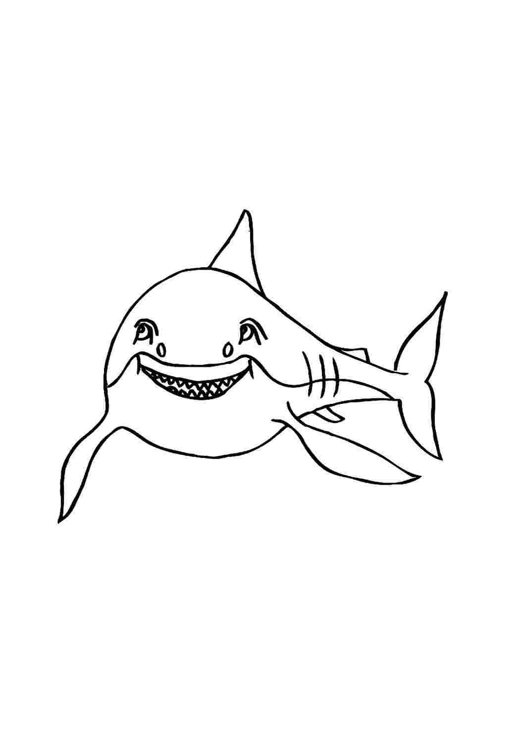 Раскраска рыба акула