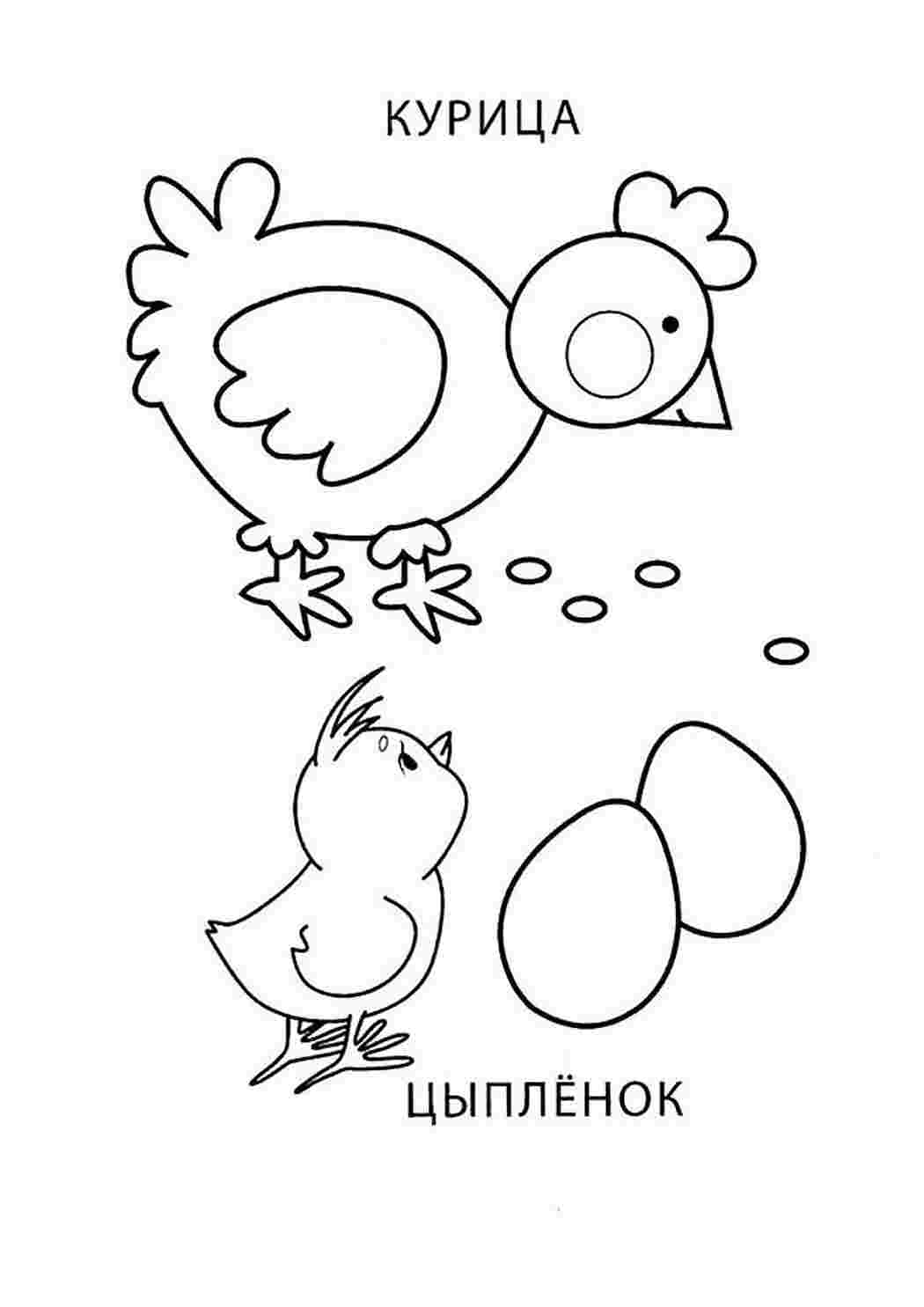 Цыпленок и курица раскраска для детей 2-3