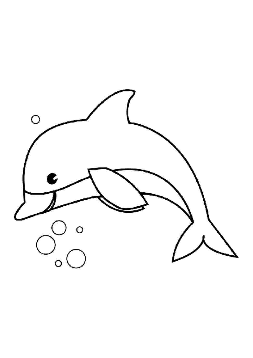 Рисунки для срисовки карандашом животные легкие Дельфин
