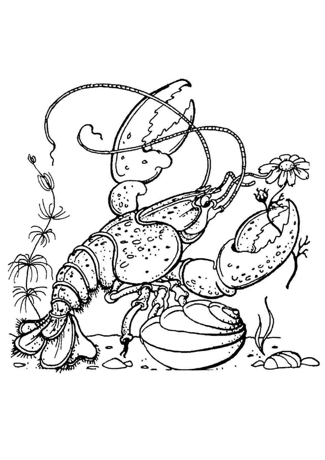 лобстер раскраска для детей. креветка раскраска. раскраска рак. раскраска рак. лангуст раскраска.