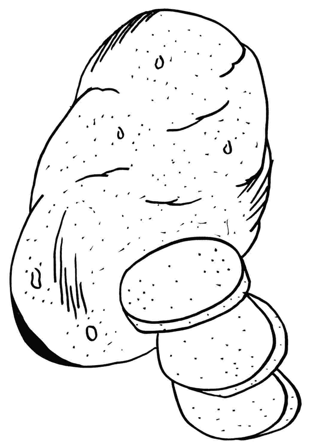 Ausmalbilder Gemuese Ausmalbild Kartoffel zum Ausdrucken Ausmalbilder, Ausmalen,