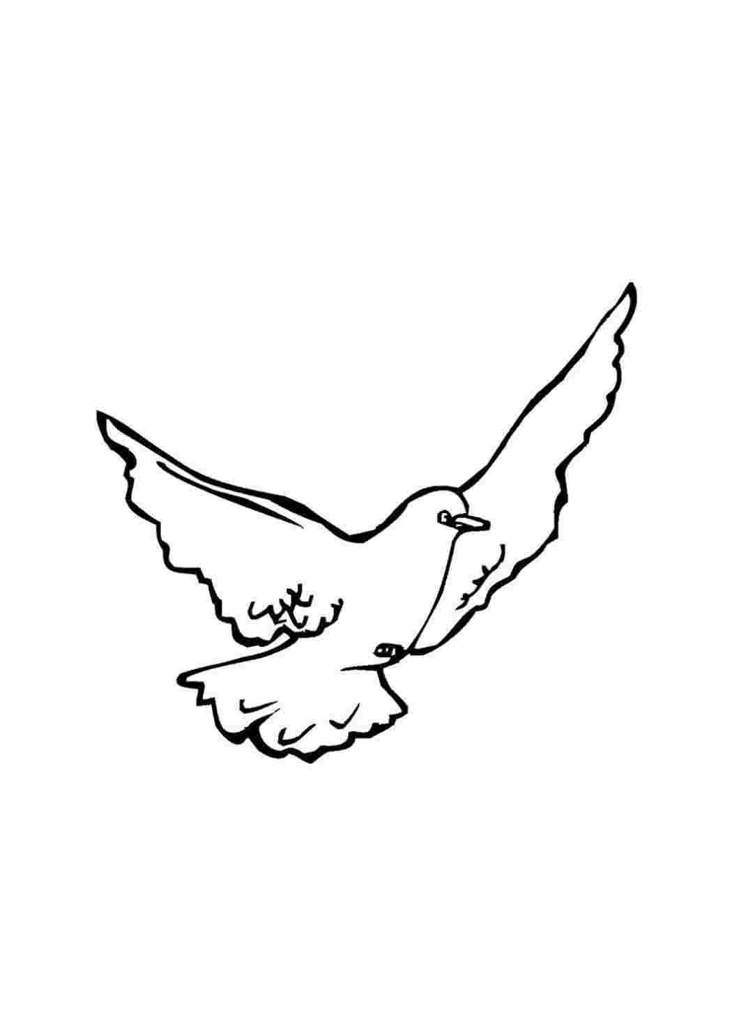 Рисунок голубя