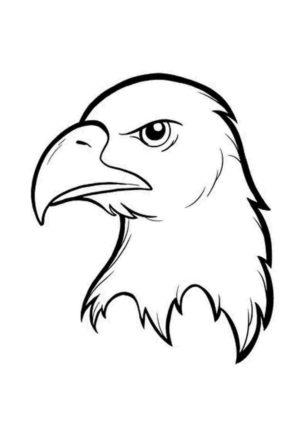 орел раскраска. силуэт орла. орел раскраска. орленок раскраска. орел раскраска для детей.