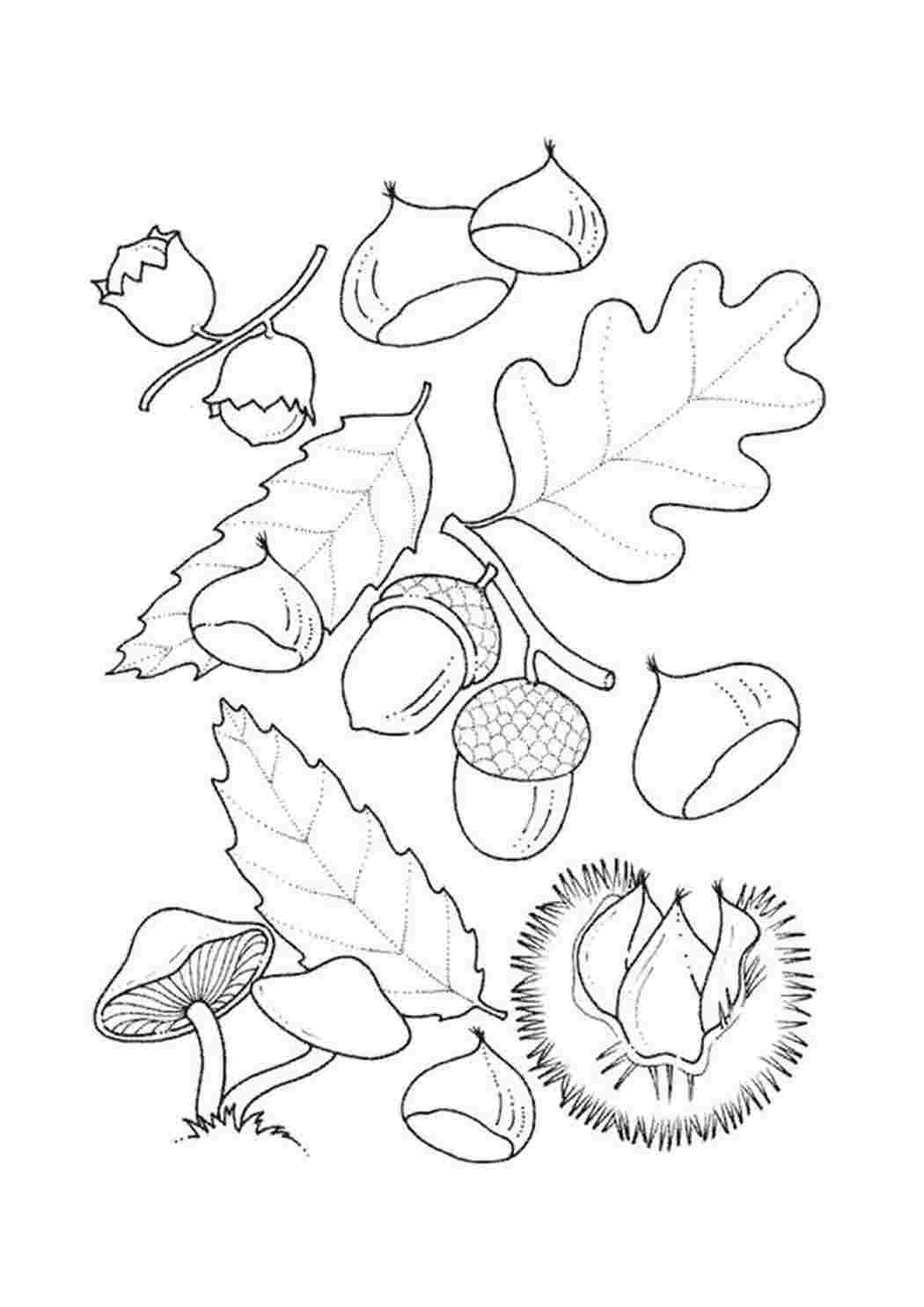 Рисунки на тему осень с грибами