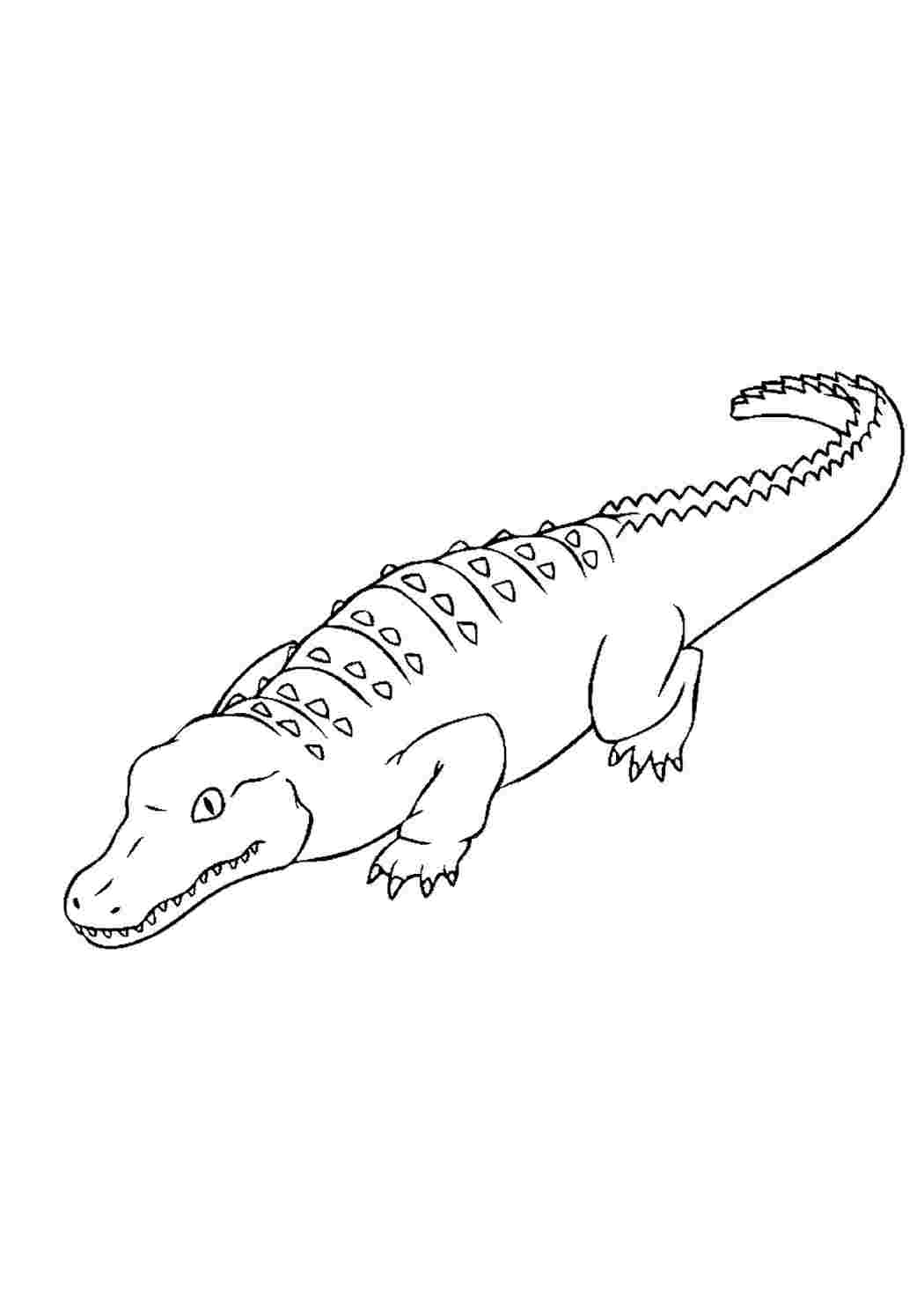 Динозавр и крокодил рисунки легкий