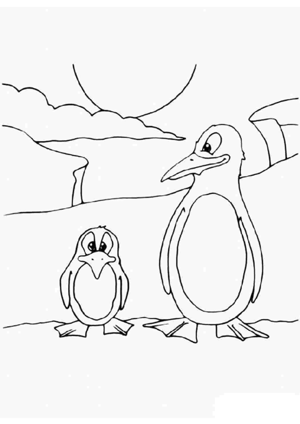 Раскраска Пингвин на льдине для детей