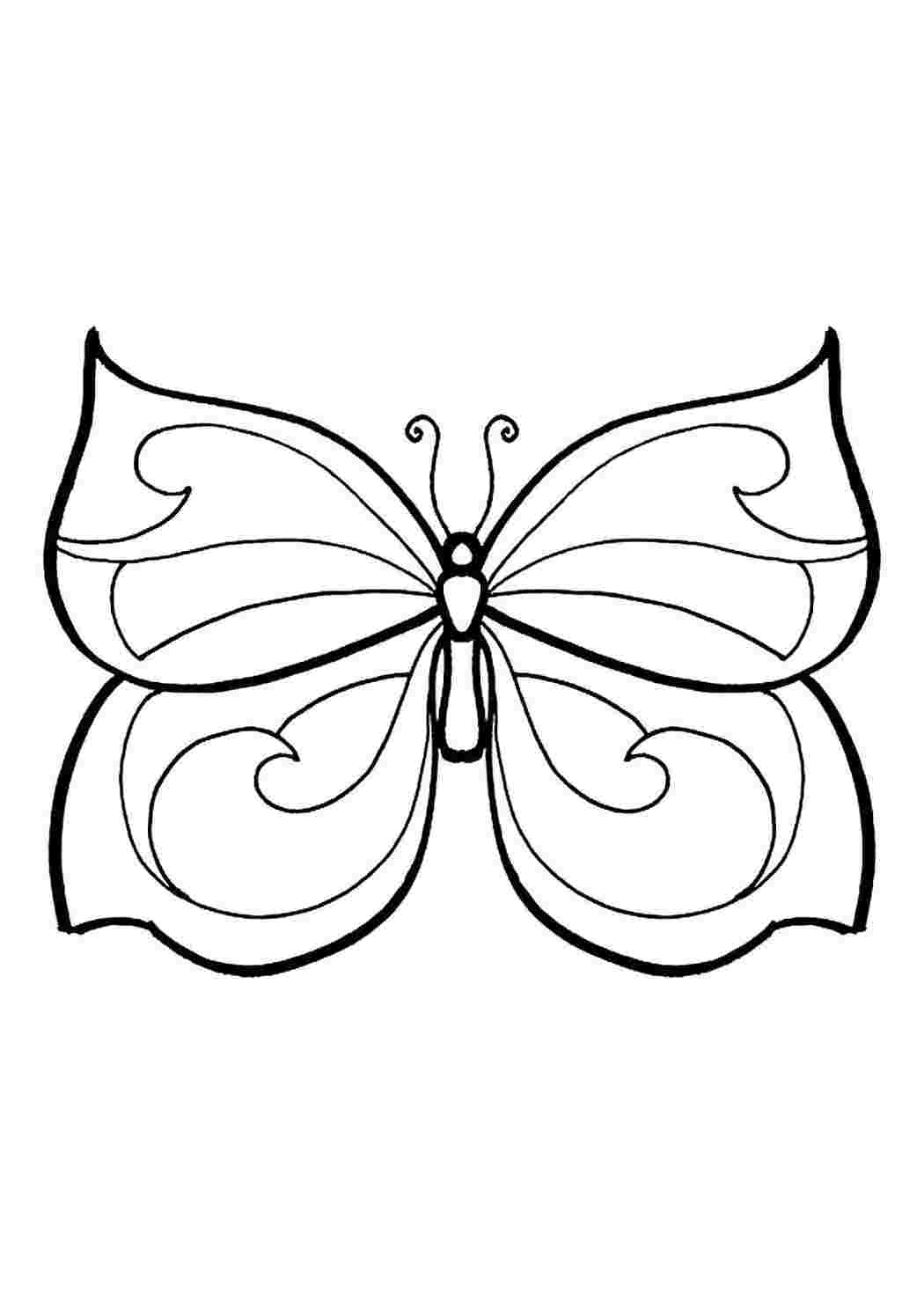 Раскраски для детей 4 5 бабочки. Раскраска "бабочки". Бабочка раскраска для детей. Бабочкарасскраска для детей. Бабочка для раскрашивания для детей.