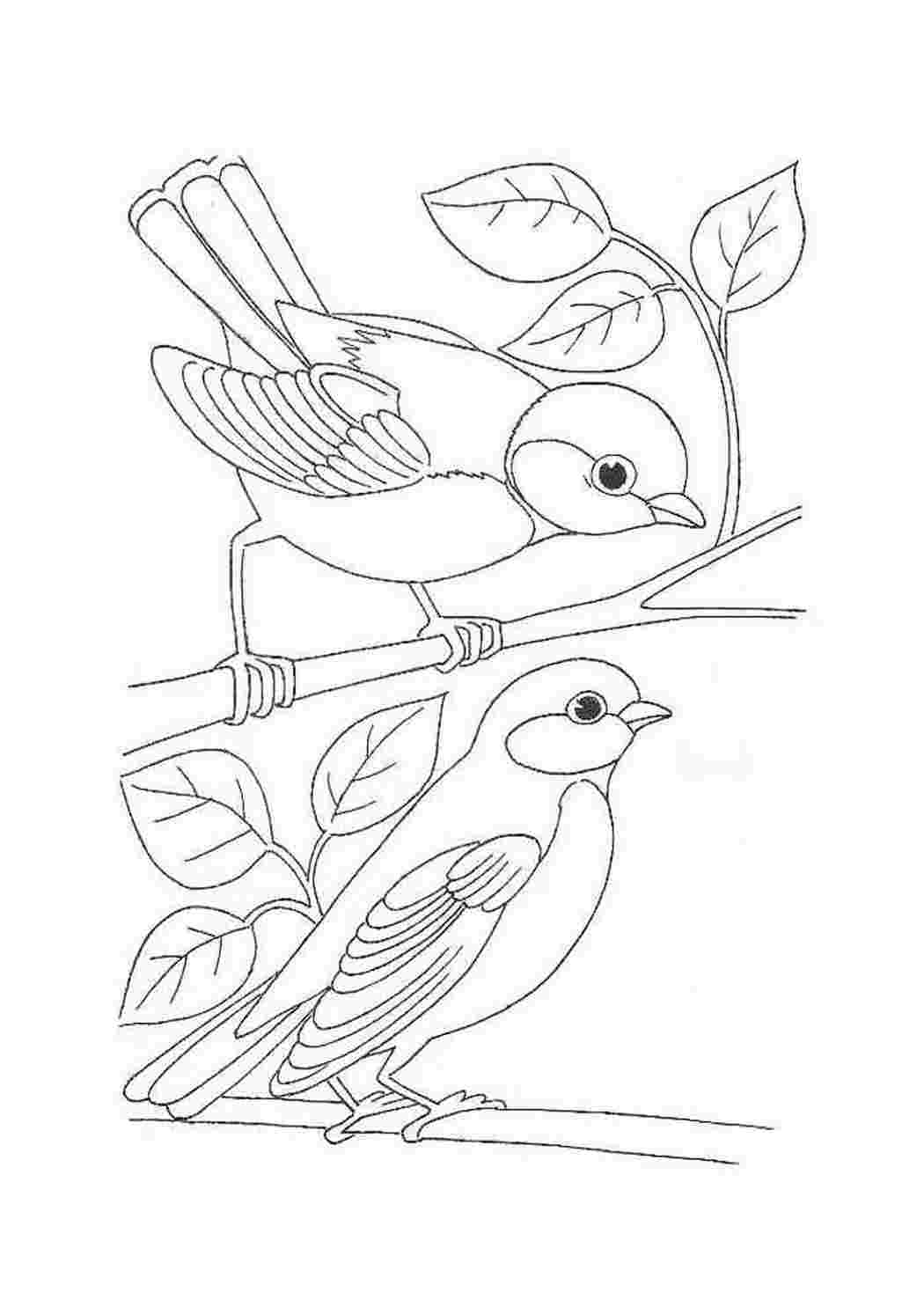 Птица рисунок для детей