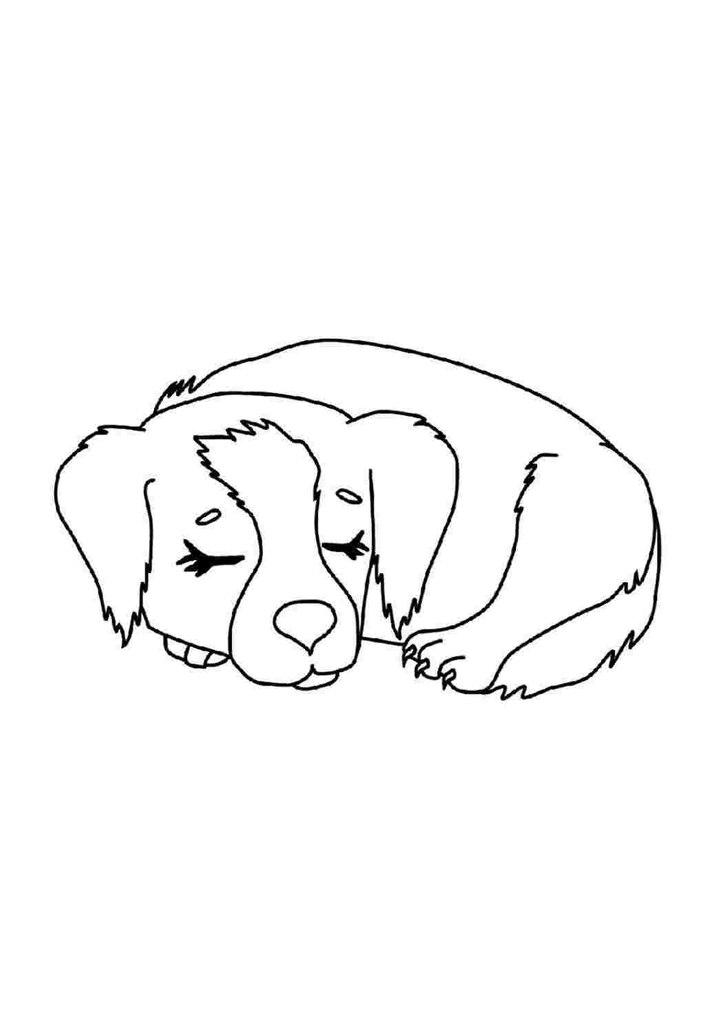 Собака рисунок для детей раскраска