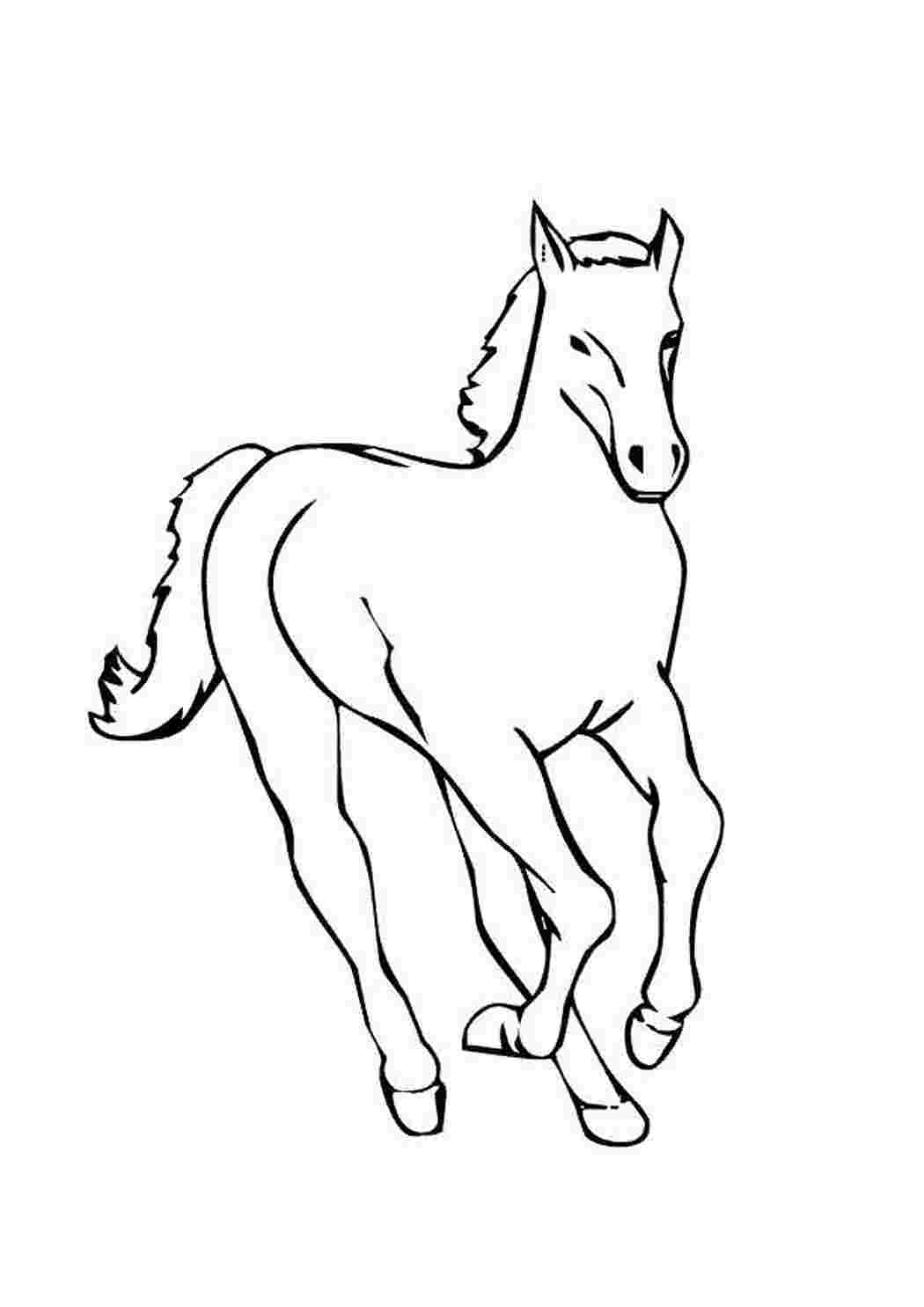 Лошадка черно белая. Раскраска. Лошади. Лошадь раскраска для детей. Лошат Раскраскин. Лошадь рисунок.