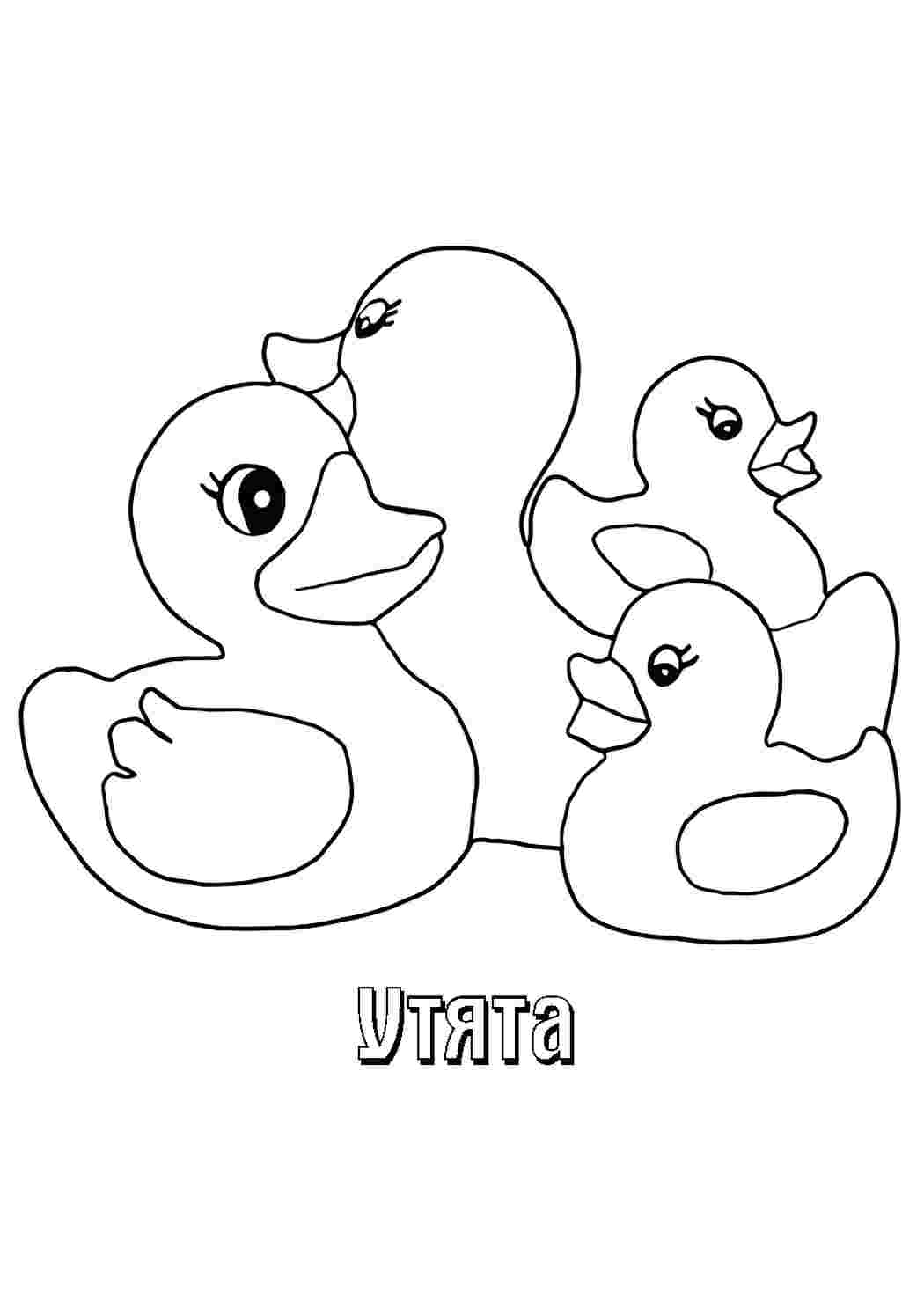 Раскраски уточка